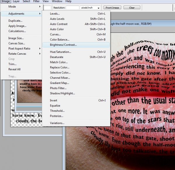 Creation of Labret Literature: Step 7